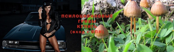дмт Алзамай