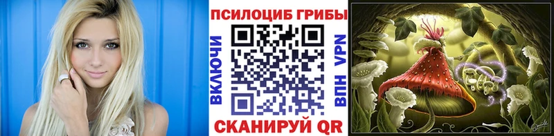 блэк спрут рабочий сайт  Новотитаровская  Галлюциногенные грибы GOLDEN TEACHER 
